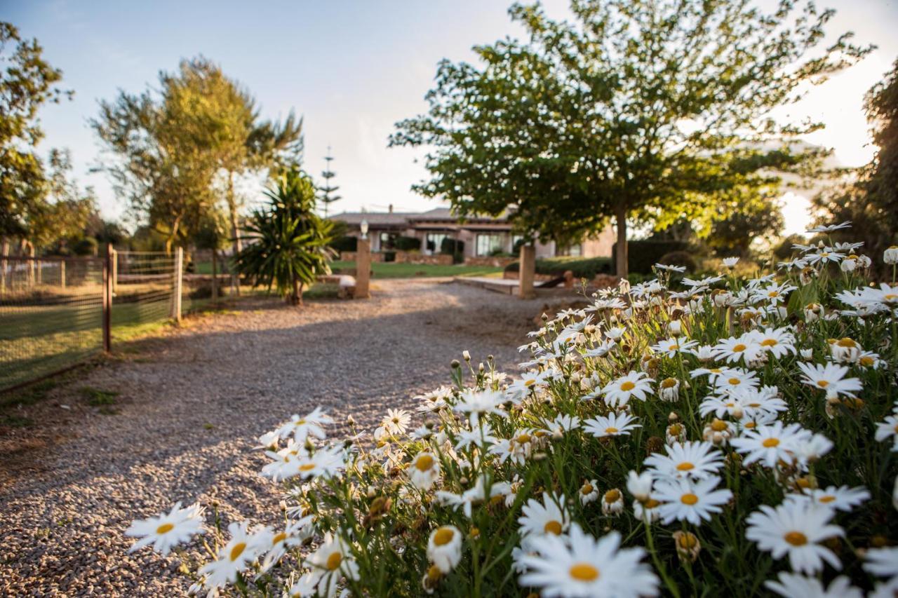 Agroturismo Can Pere Rei Son Serra de Marina Kültér fotó