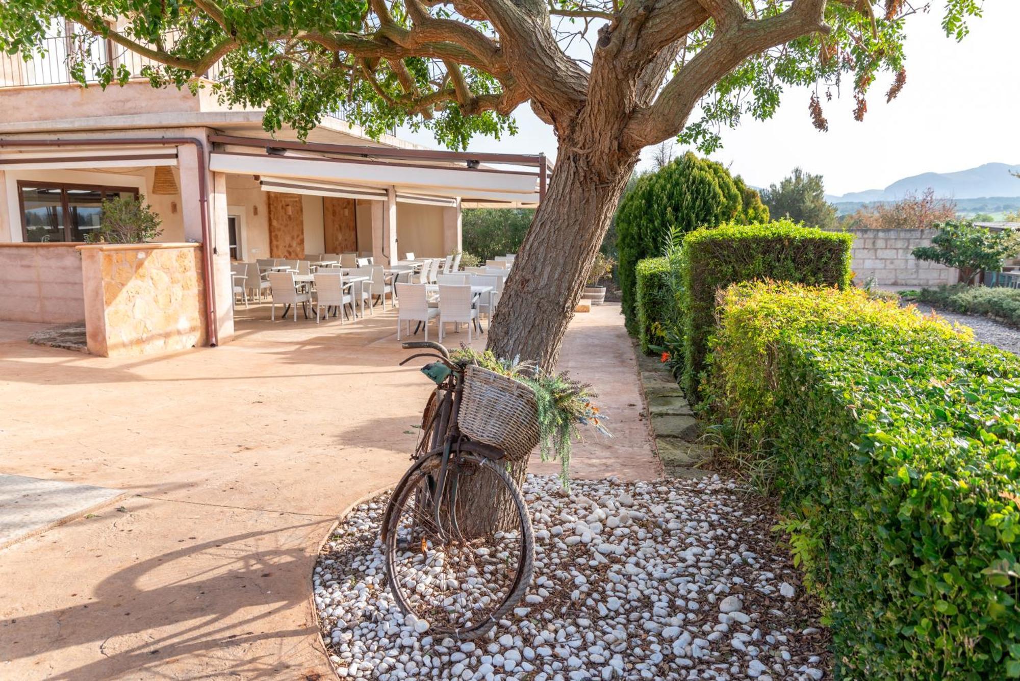 Agroturismo Can Pere Rei Son Serra de Marina Kültér fotó